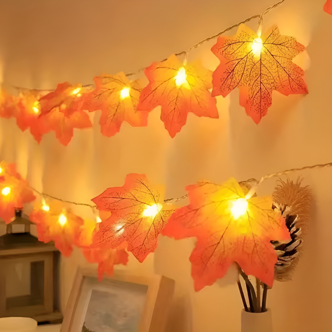 Guirlande Lumineuse - Mapili