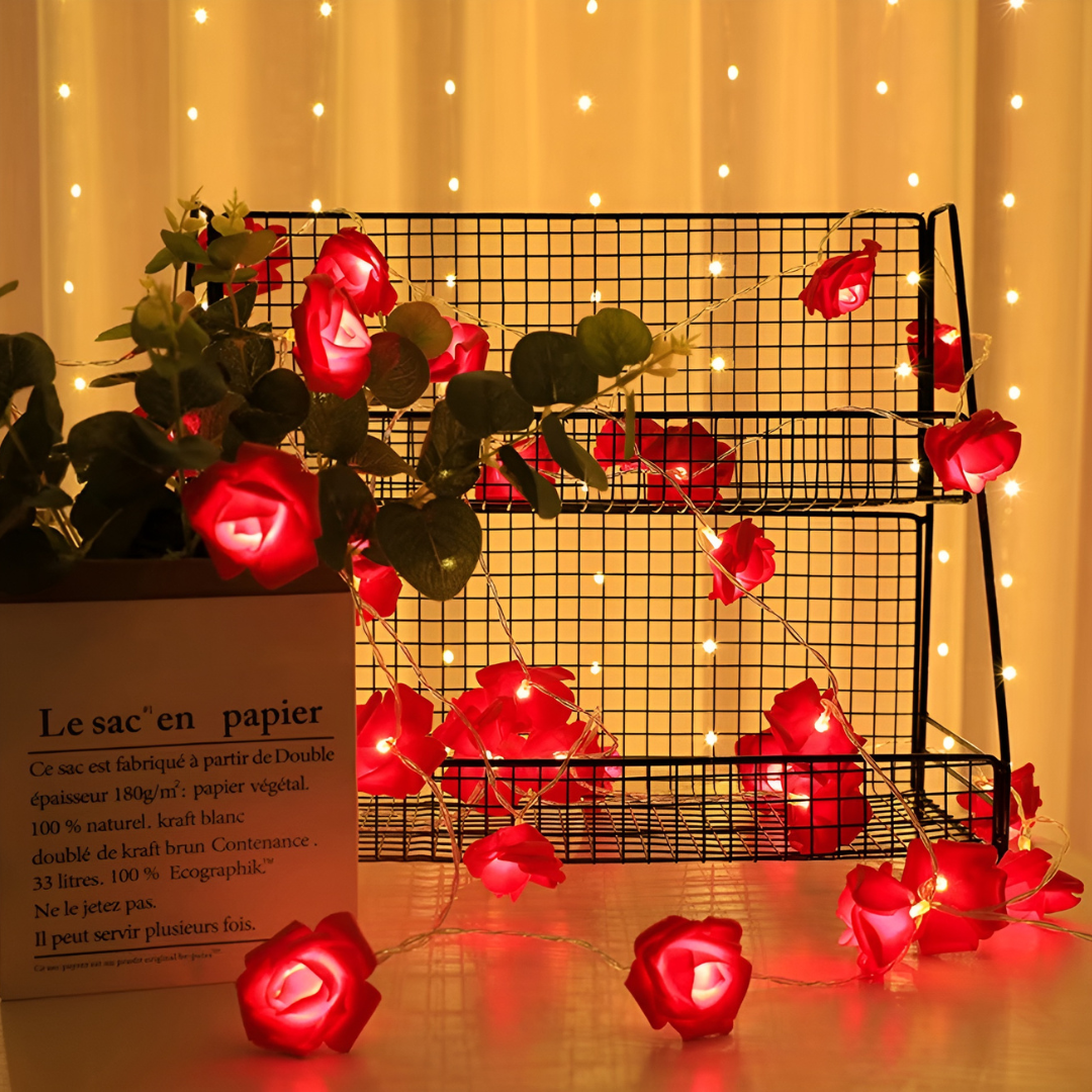 Guirlande Lumineuse - Rosali