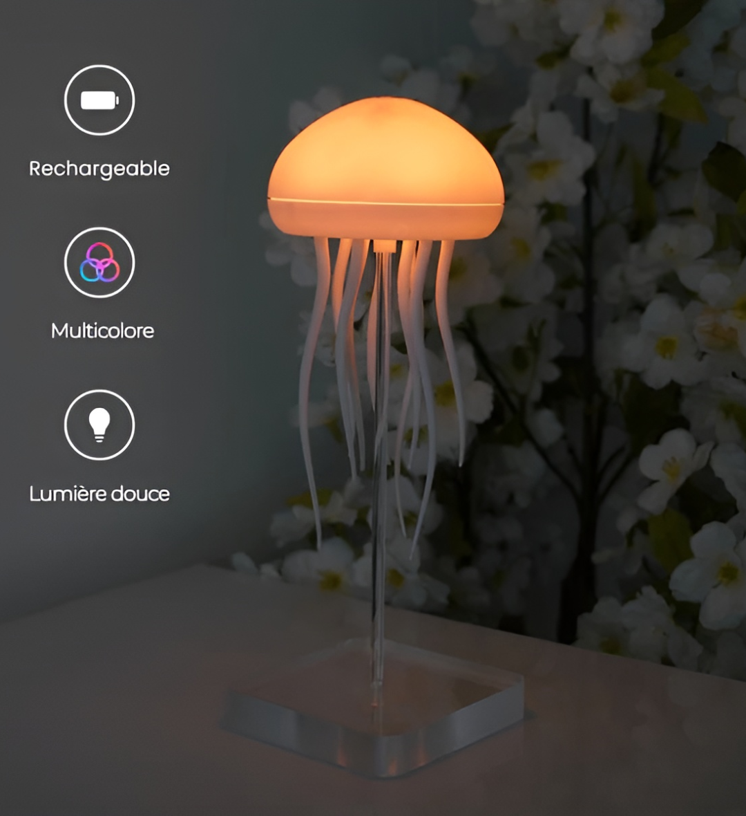 Lampe décorative - Musa