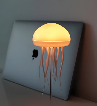 Lampe décorative - Musa